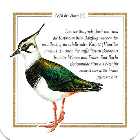 lich gi-he licher vda kg lich 5b (quad185-kiebitz 5)